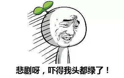 止跌.jpg