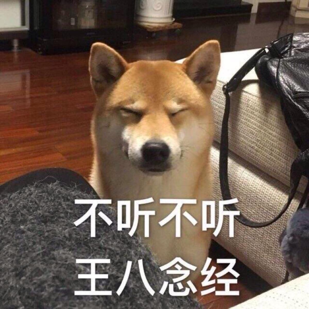 不听不听王八念经.jpg 不听不听王八念经.jpg